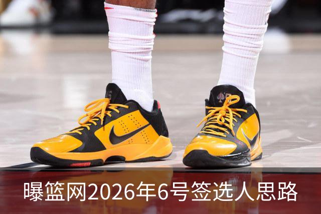 曝篮网2026年6号签选人思路